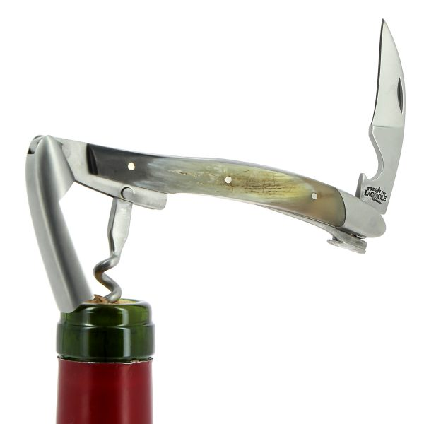 Waiter's Corkscrews - Animalia