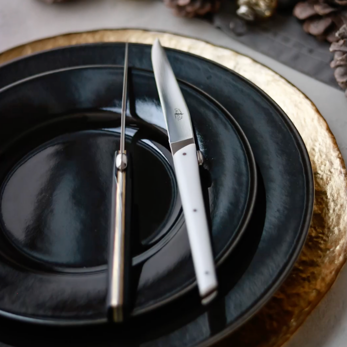 Olivier Gagnère Set of 2 Black Acrylic Steak Knives