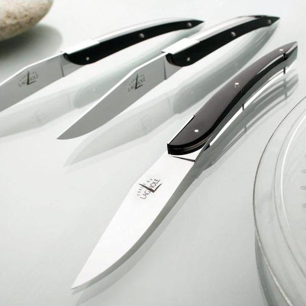 Eric Raffy Set of 2 Black Acrylic Handle Steak Knives
