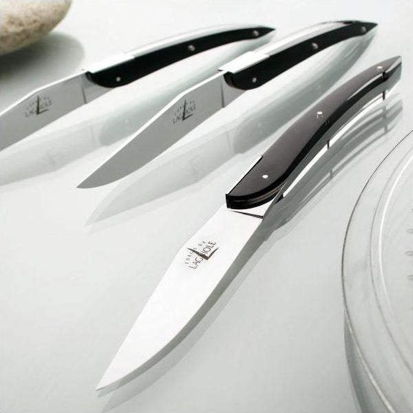 Eric Raffy Set of 6 Black Acrylic Handle Steak Knives - Forge de Laguiole  USA