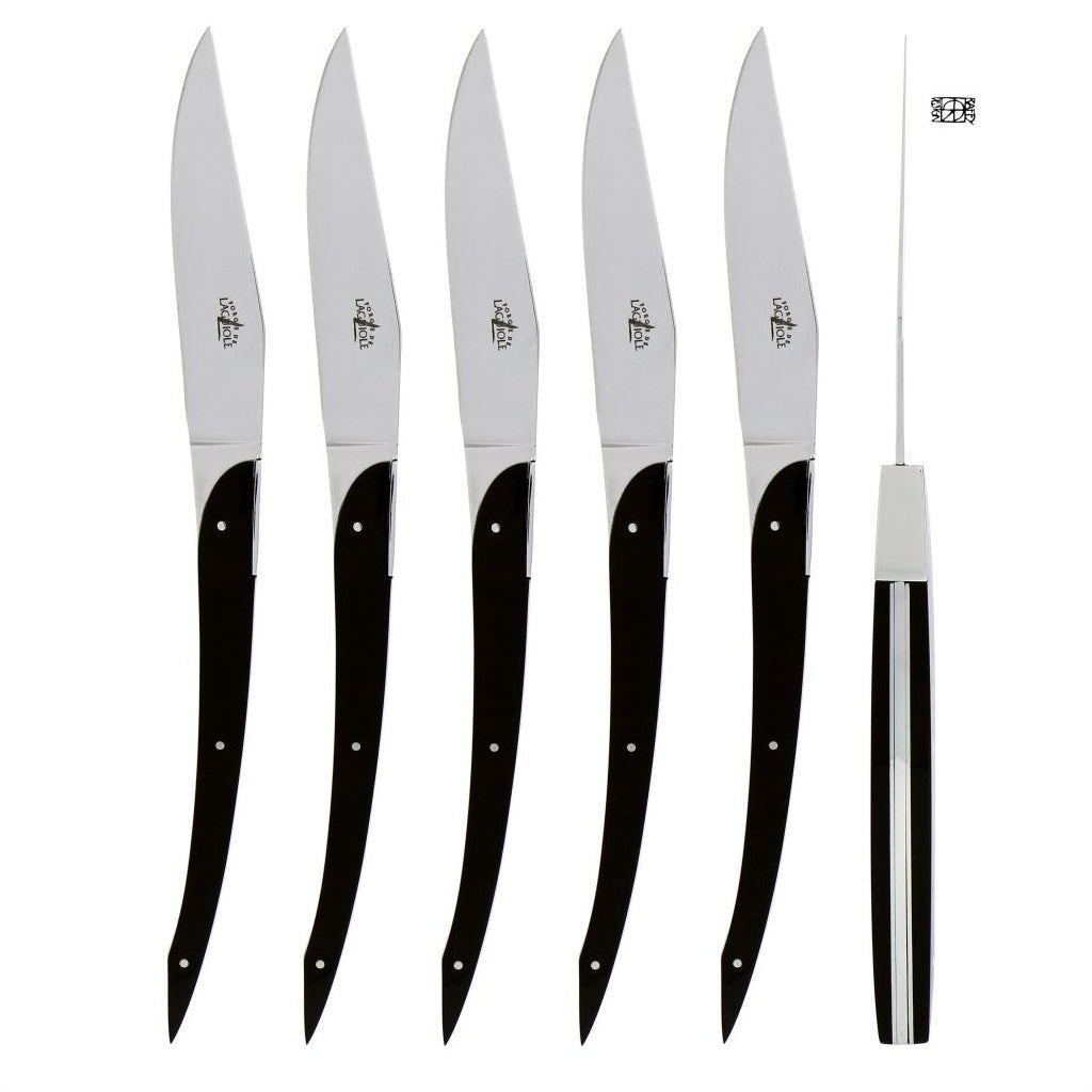Eric Raffy Set of 6 Black Acrylic Handle Steak Knives