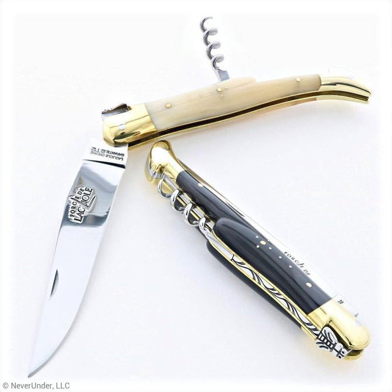https://www.forge-de-laguiole-usa.com/cdn/shop/products/Forge-de-Laguiole-12-cm-Picnic-Knife-Horn-Tip-Brass-Bolsters.jpg?v=1660986473
