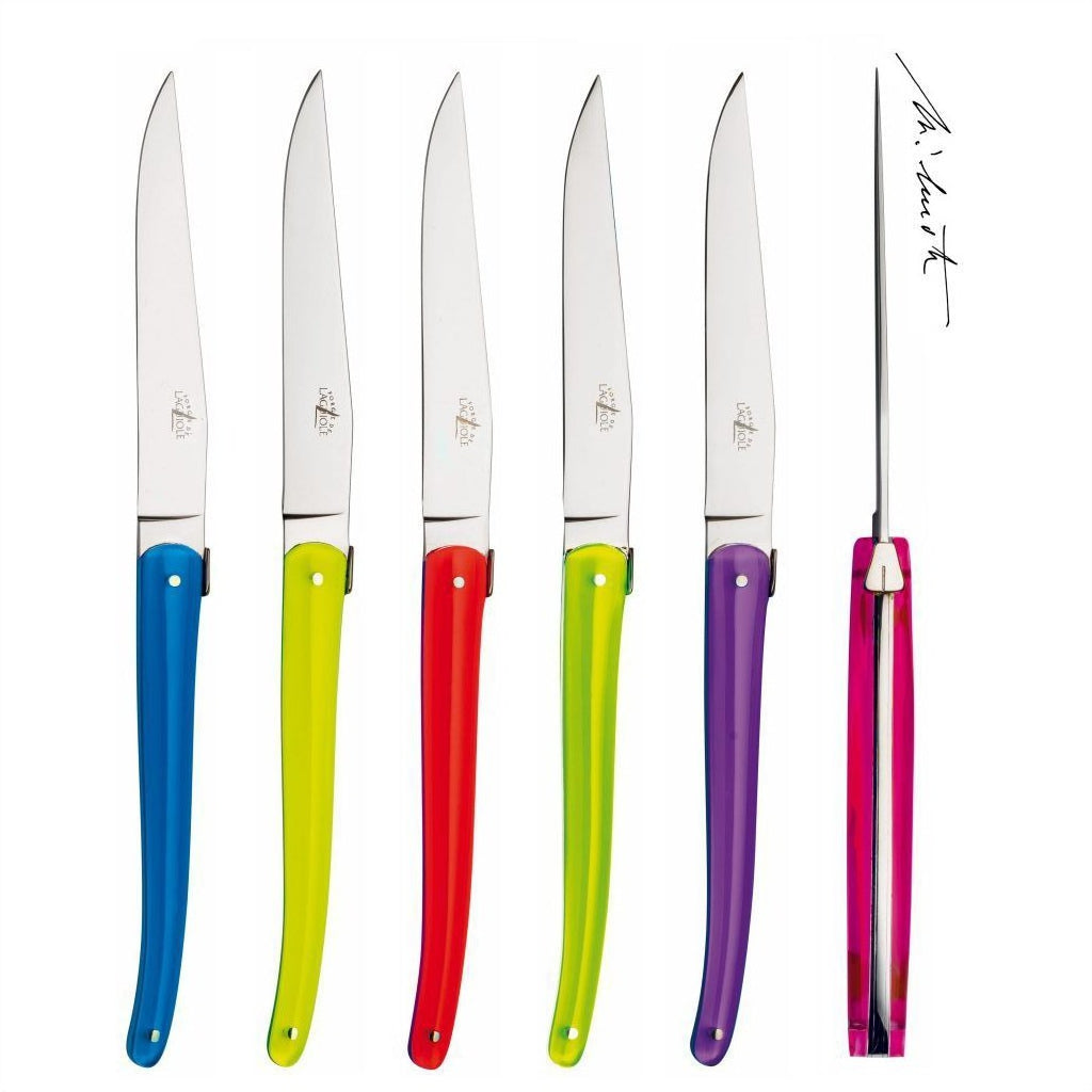 Jean-Michel Wilmotte Set of 6 Steak Knives Full Acrylic Hanlde