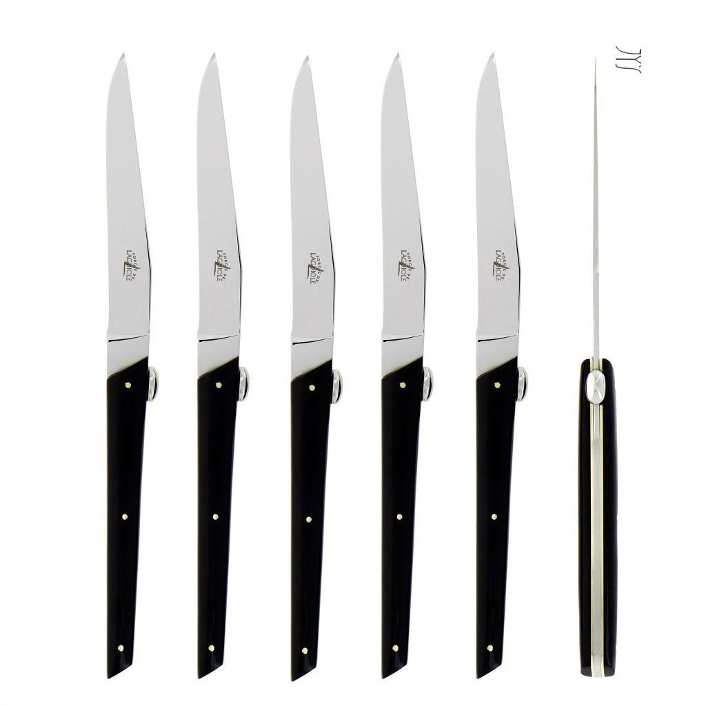 Olivier Gagnère Set of 6 Black Acrylic Steak Knives